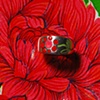 Flower ring