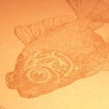 goldfish
