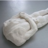 gisant 1