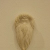 Petite Barbe