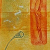 Spinal Chat