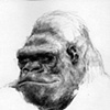 ape