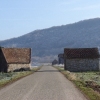 Split Houses
