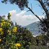 Chateau Hill 1