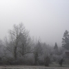 And the frost came