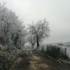 Country lane with snow