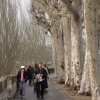 Along the Seine in Paris