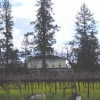 House surrounded by vineyards