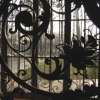 Looking out from Le Petit Palais
