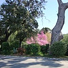 Chateau Hill Park Landscape
