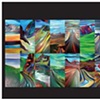 2011 Calendar for sale now!  