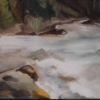 Gallatin River