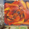 Floral Images