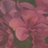 Pink flowers