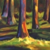 Enchanted Light