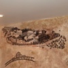 Butte Mural 5