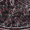 Untitled (Star Maps), series shoes