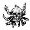 Untitled (skull spider)