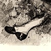 Spontaneous Combustion