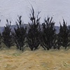 Trees in Iceland