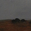 Horses with Cattle