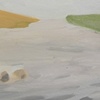 View from a stream