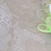 Kailua Beach Series, Untitled 1