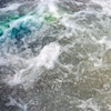 Kailua Beach Series, Untitled 3