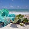 Kailua Beach Series, Untitled 2