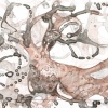 AR: 1/08.28_29: detail