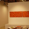 pomegranate/glass & current/coral 
