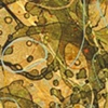 emergence: 11/2011.3 (detail)