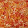 current/coral
