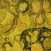 horizon/hot autumn, detail