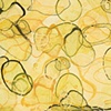 skinfizz/swim (detail)