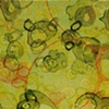 horizon/hot autumn, detail