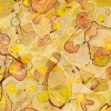 bud/bone (detail)