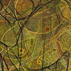 emergence: 11/2011.1 (detail)