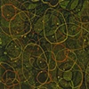 darknote.1
