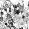 Works on Paper