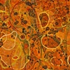 emergence: 11/2011.4