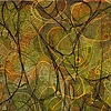 emergence: 11/2011.1