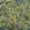 lichen/lake