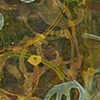 pinedark/cove.4