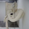 The Intestine Woman****