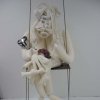 The Intestine Woman***
