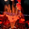 Le Massacre de Jesus Egoiste II - The MFA Graduation Show1**********