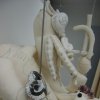 The Intestine Woman1*****
