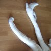The Squid Buddha - Head*********