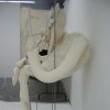 The Intestine Woman*****